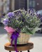 Lavender Basket